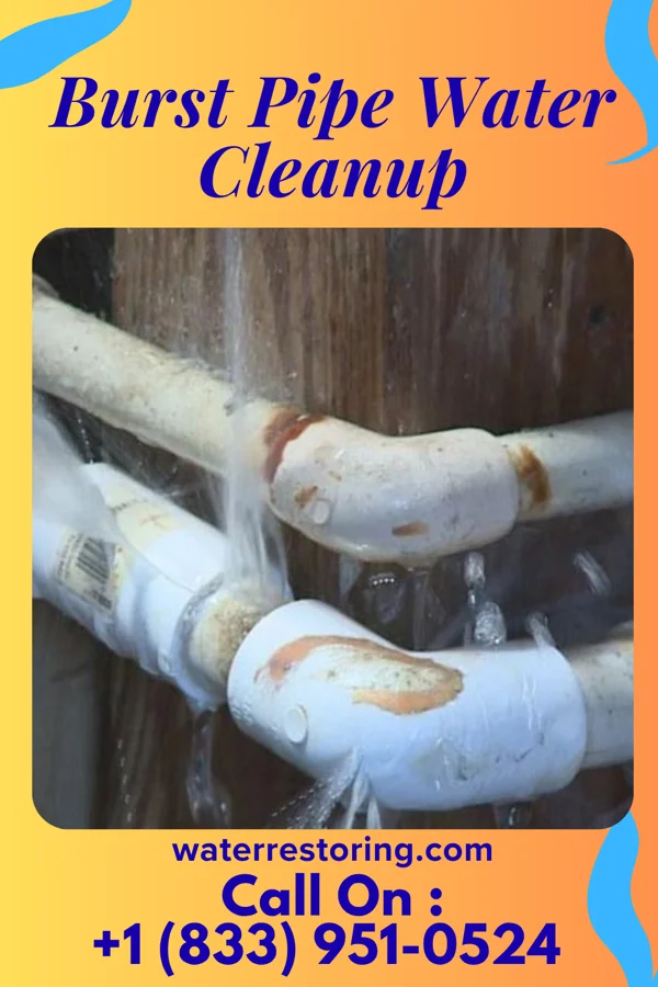 Burst Pipe Water Cleanup in Wellersburg, PA