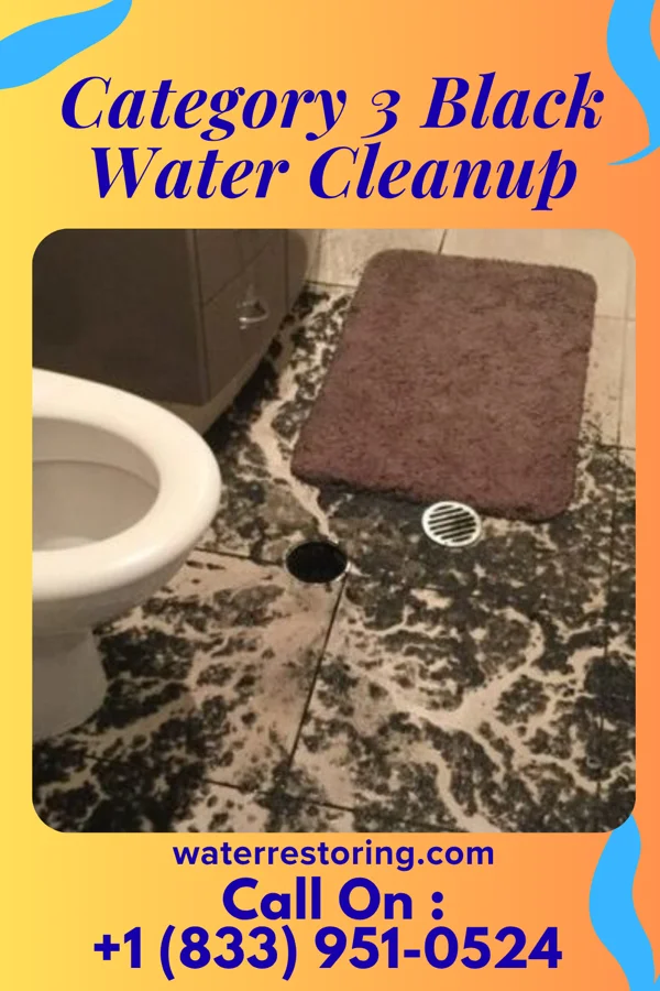 Category 3 Black Water Cleanup in Wellersburg, PA