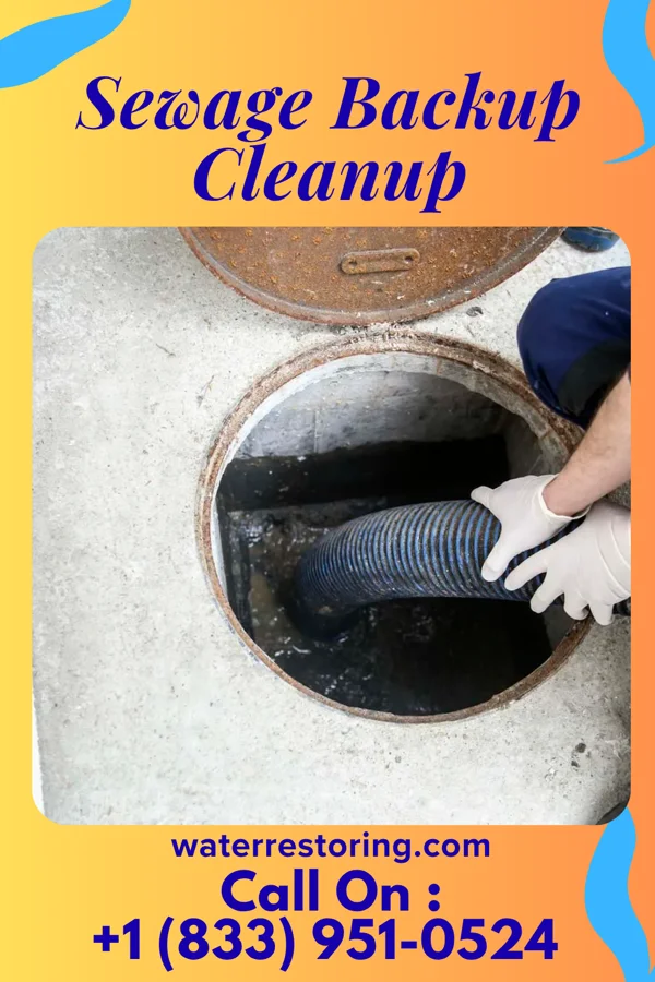Sewage Backup Cleanup in Wellersburg, PA