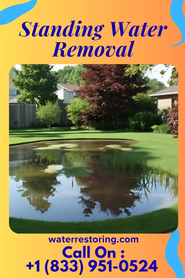 Standing Water Removal in Wellersburg, PA